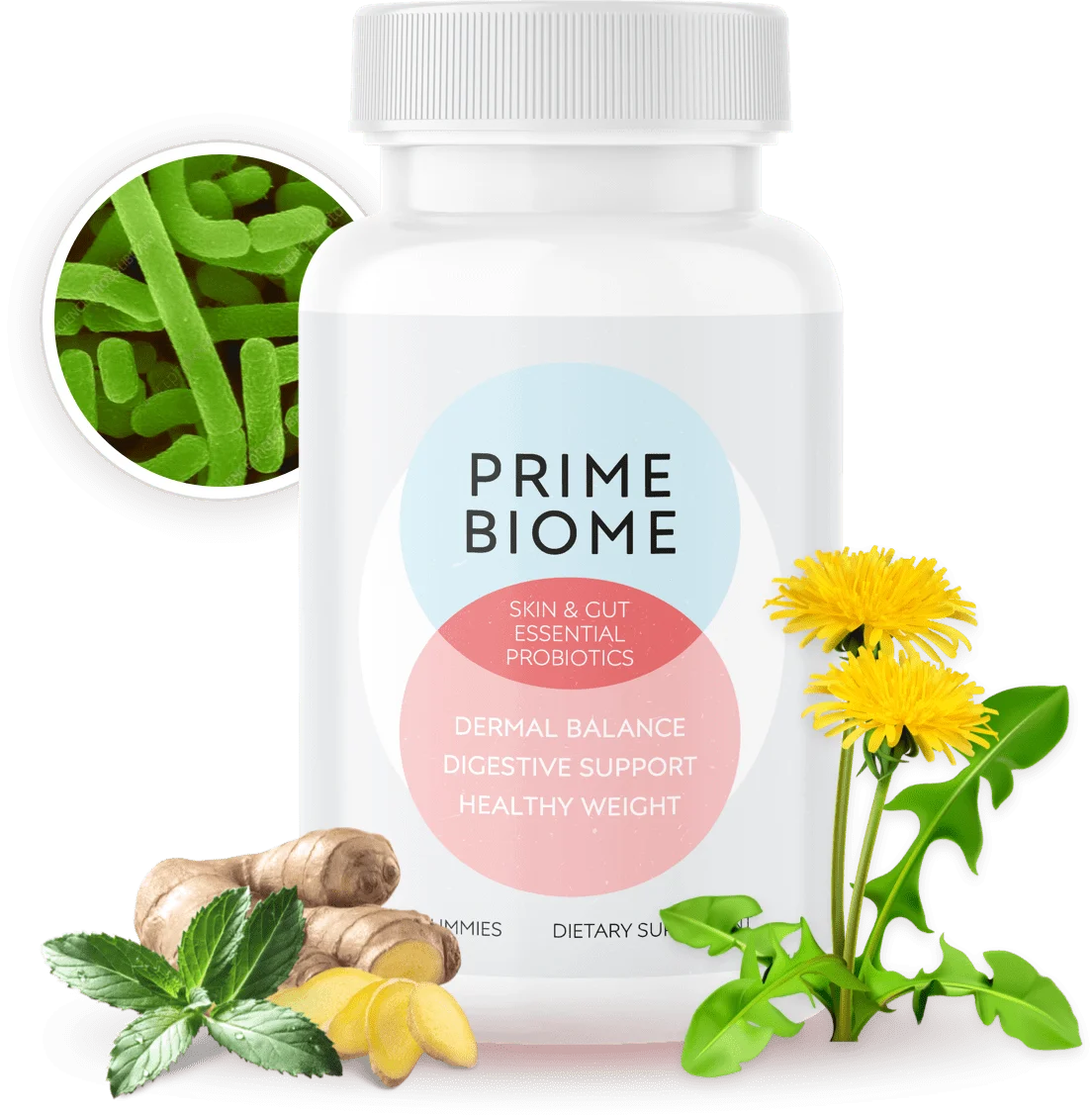 PrimeBiome Gummies